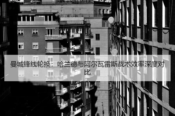 man-cheng-feng-xian-lun-huan-ha-lan-de-yu-a-er-wa-lei-si-zhan-shu-xiao-lv-shen-du-dui-bi-2-573.jpg