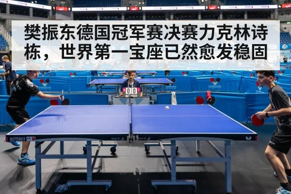 樊振东德国冠军赛决赛力克林诗栋,世界第一宝座已然愈发稳固