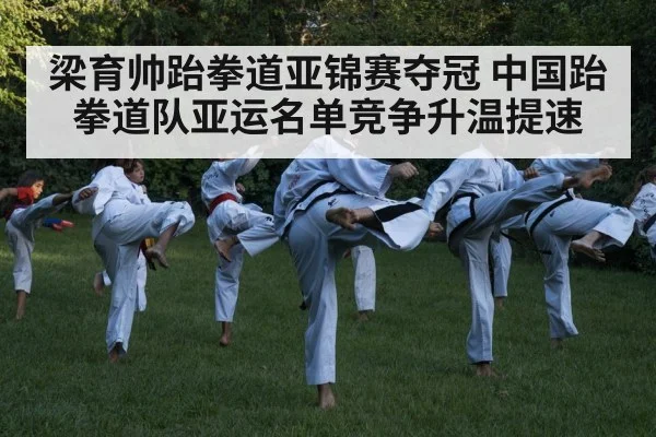 梁育帅跆拳道亚锦赛夺冠 中国跆拳道队亚运名单竞争升温提速