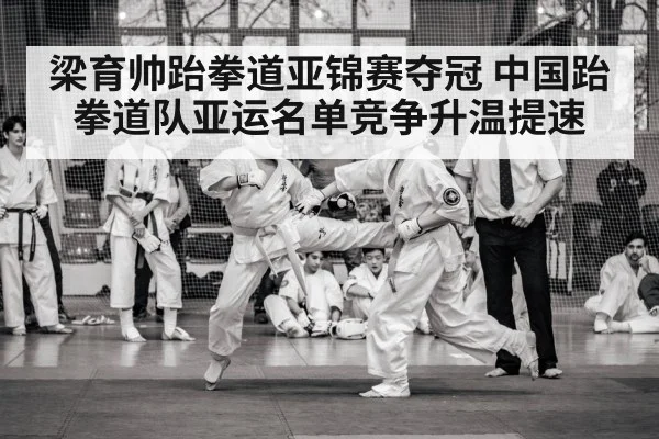 taekwondo competition